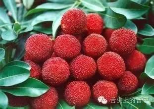 深圳南澳楊梅最新爆料,最新爆料帶你嘗鮮