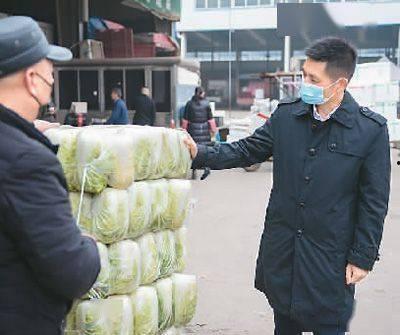 長沙新農人最新爆料,農業現代化新動向與鄉村振興新篇章