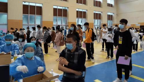 張嵐最新爆料消息視頻,事件真相全解析