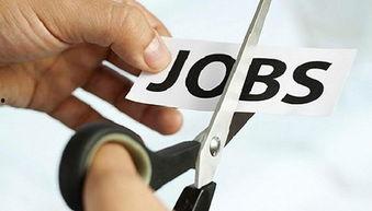 金帝最新爆料,揭秘娛樂圈驚人內幕