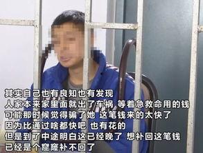 老木哥最新爆料,最新爆料背后的驚人真相