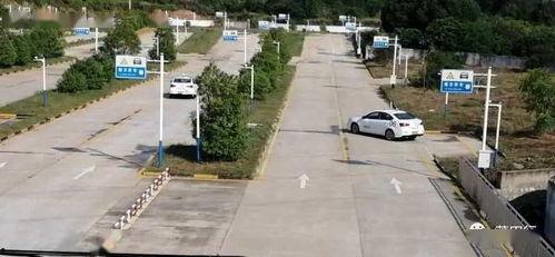 仙游郊尾最新爆料視頻,揭秘神秘事件背后的真相