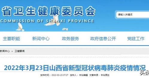 肇東最新爆料新聞報道視頻,視頻揭露驚人內幕，真相令人震驚！