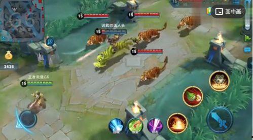 王者最新限定皮膚爆料群,王者限定皮膚爆料群大揭秘